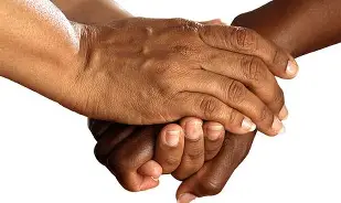 Kwiki Education Services website